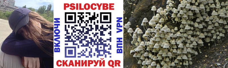 Псилоцибиновые грибы Magic Shrooms  Гудермес 